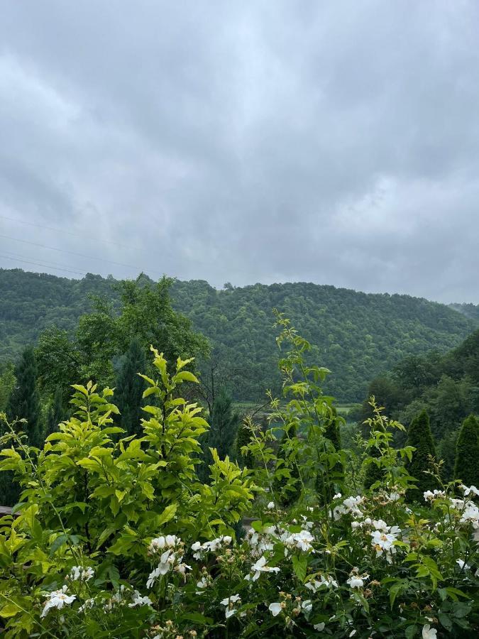 Villa Nature Bihać Eksteriør billede