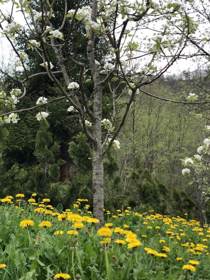 Villa Nature Bihać Eksteriør billede