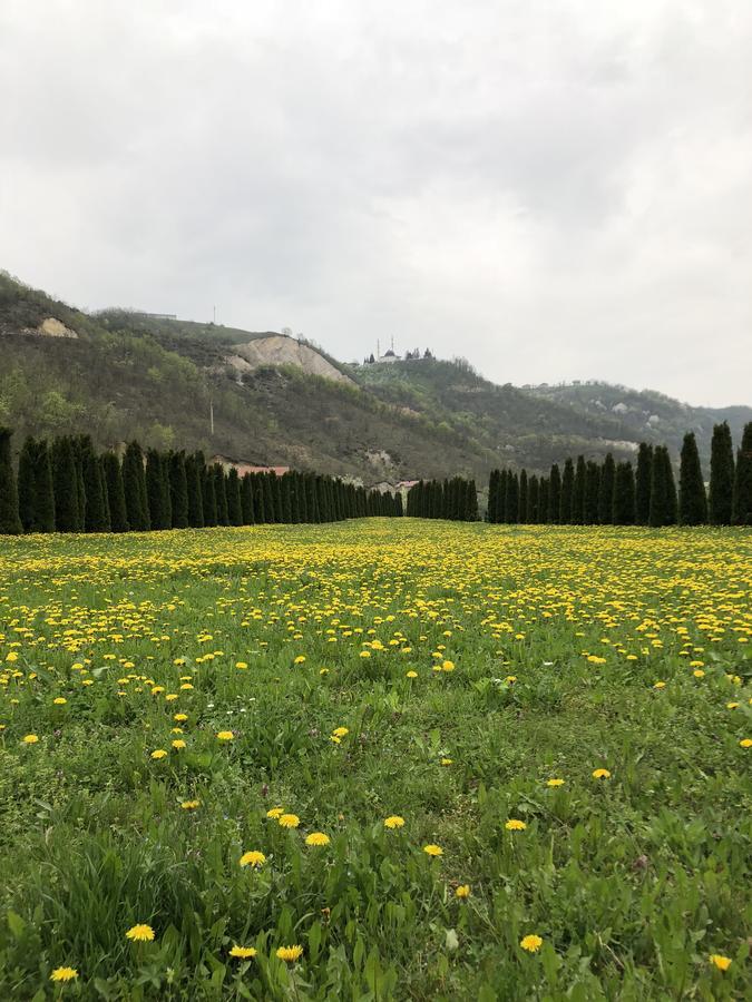 Villa Nature Bihać Eksteriør billede